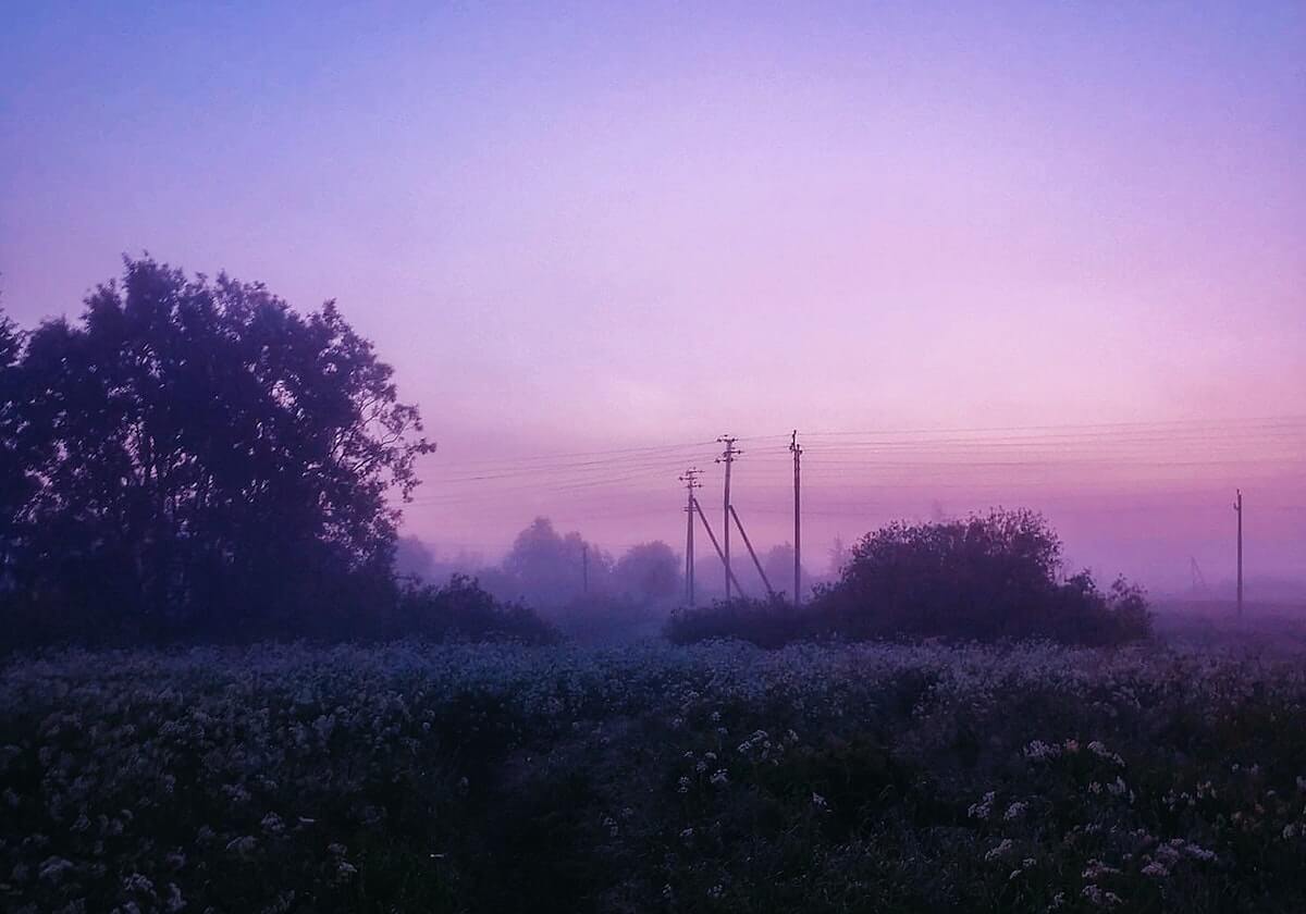 乐鱼官网:在数字海洋中寻找可信的港湾,开启安全畅玩的新体验